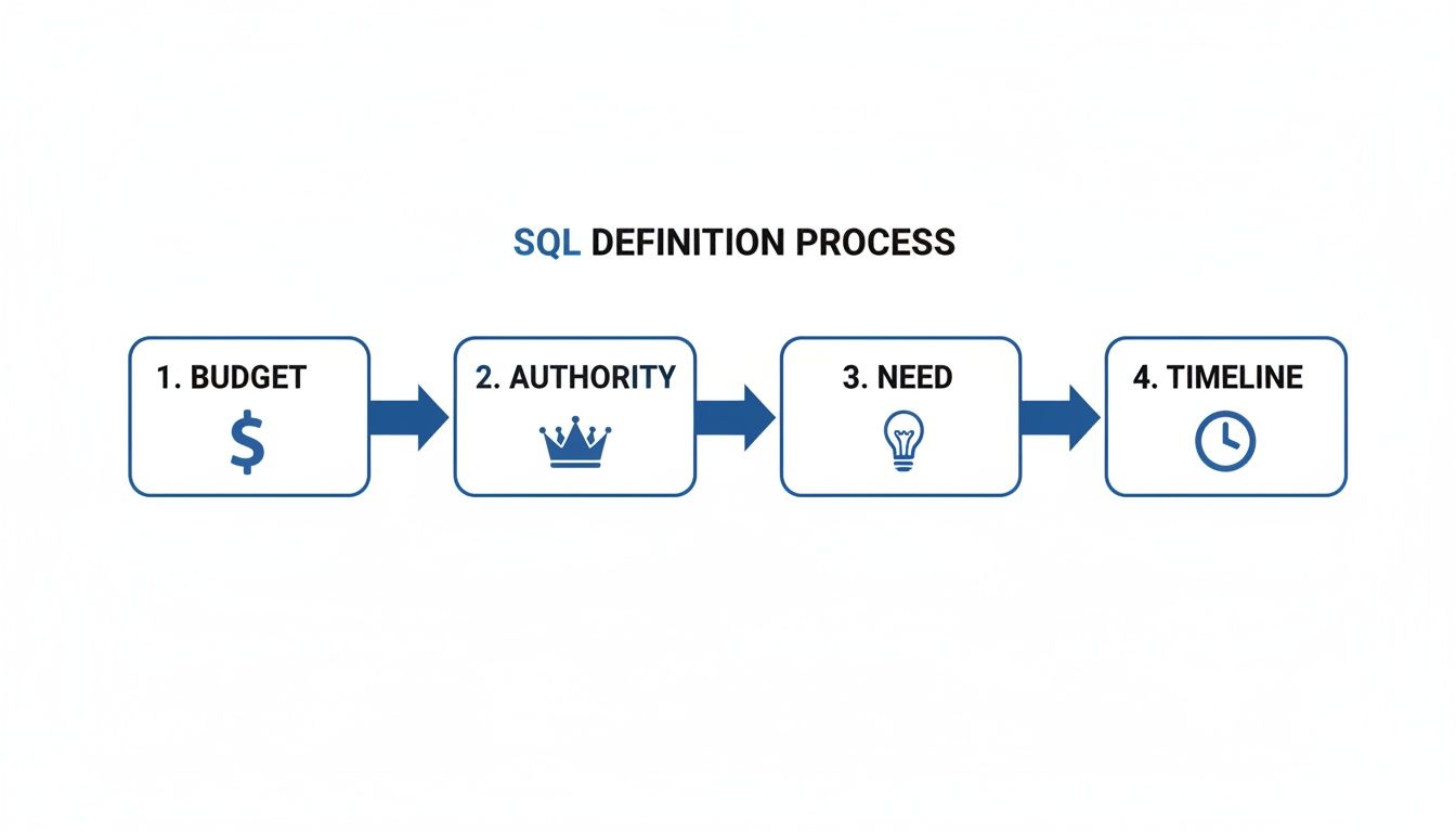 Flowchart illustrating the Sales Qualified Lead definition process, including budget, authority, need, and timeline.