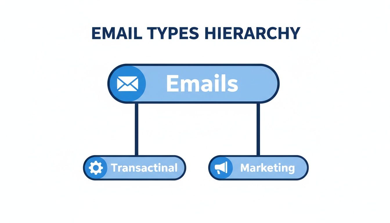 A hierarchy diagram illustrating that emails are primarily categorized into transactional and marketing types.