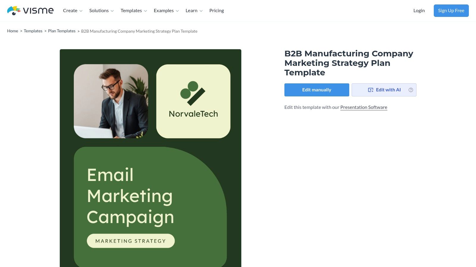 Visme – B2B Manufacturing Company Marketing Strategy Plan Template
